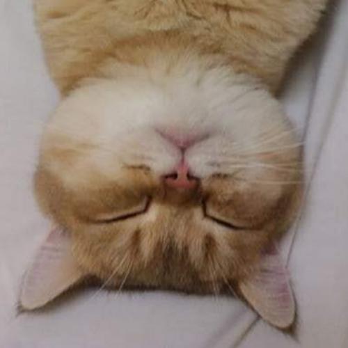 สมาชิกหมายเลข 1247653