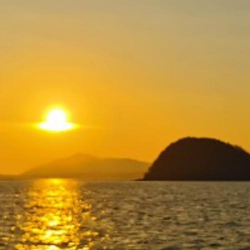 สมาชิกหมายเลข 1945095