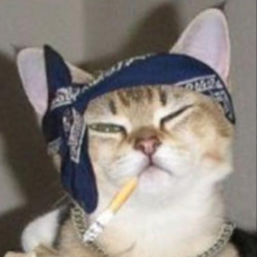 สมาชิกหมายเลข 6632179