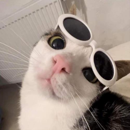 สมาชิกหมายเลข 4394540