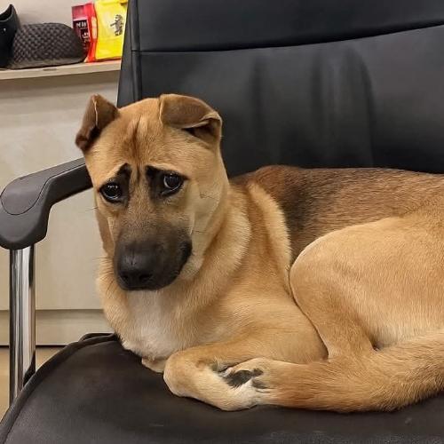 สมาชิกหมายเลข 5239025