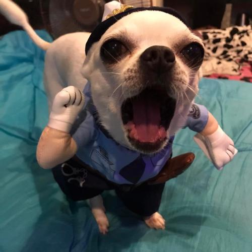 สมาชิกหมายเลข 9253958