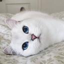 สมาชิกหมายเลข 2601321