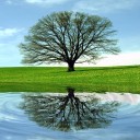 โลกส่วนตัวของฉัน