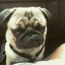 สมาชิกหมายเลข 3886760