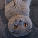 สมาชิกหมายเลข 3950870