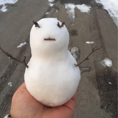 สมาชิกหมายเลข 4352738