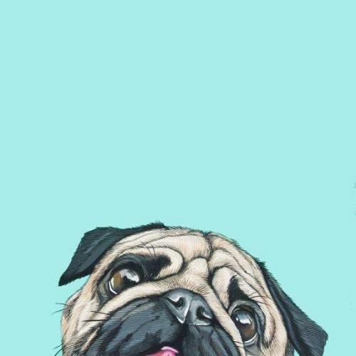 สมาชิกหมายเลข 4720873