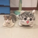 สมาชิกหมายเลข 4720902