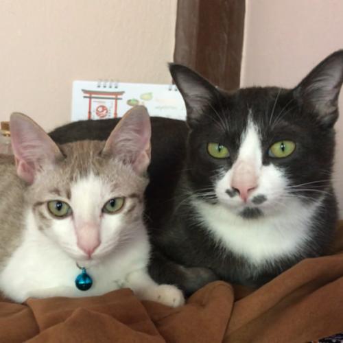 สมาชิกหมายเลข 2698668