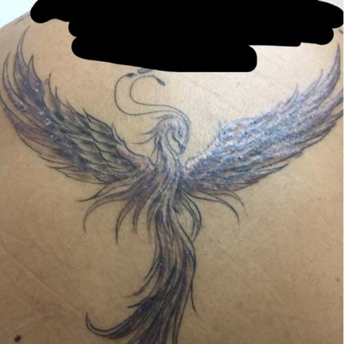 สมาชิกหมายเลข 3851593