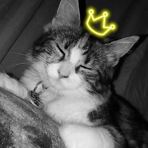 สมาชิกหมายเลข 5085387