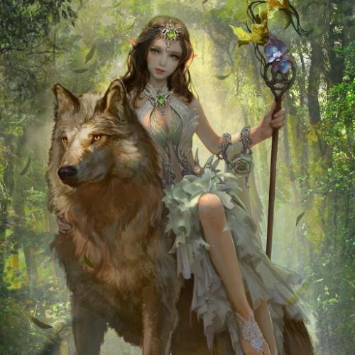 สมาชิกหมายเลข 5484146