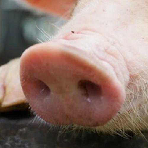 สมาชิกหมายเลข 1425283