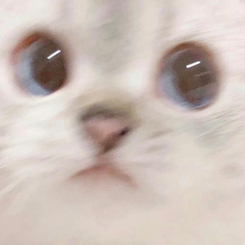 สมาชิกหมายเลข 3878016