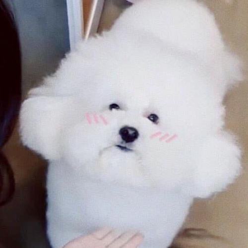 สมาชิกหมายเลข 5076274