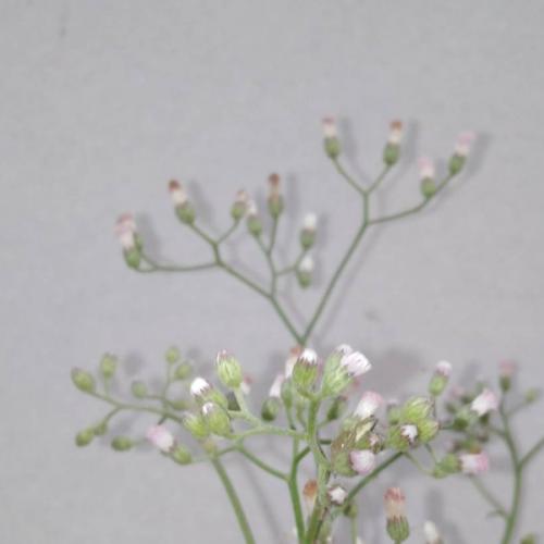 สมาชิกหมายเลข 6004760