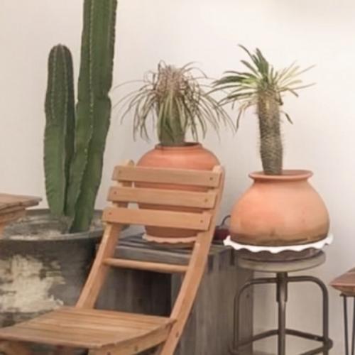 สมาชิกหมายเลข 2396833