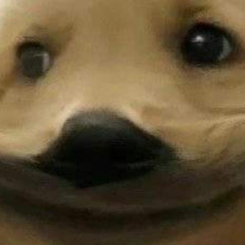 สมาชิกหมายเลข 5145929