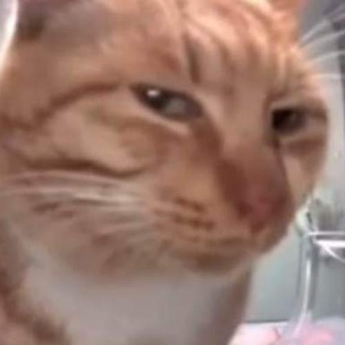 สมาชิกหมายเลข 8258282