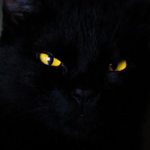 สมาชิกหมายเลข 8258284