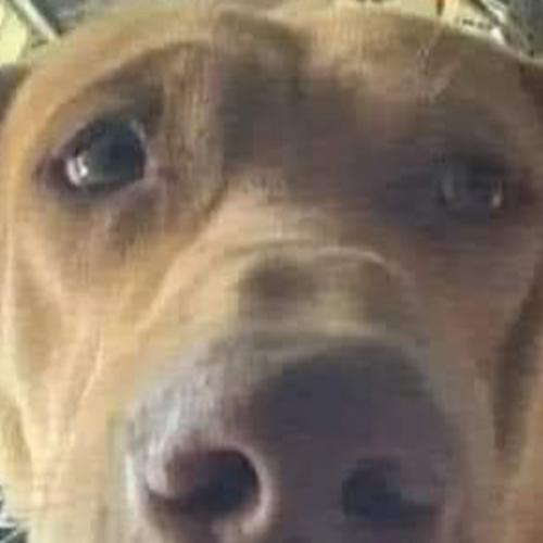 สมาชิกหมายเลข 8258287