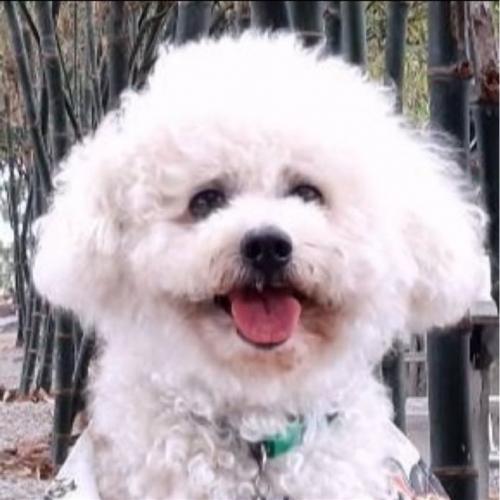 สมาชิกหมายเลข 8258620