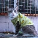 สมาชิกหมายเลข 3831602