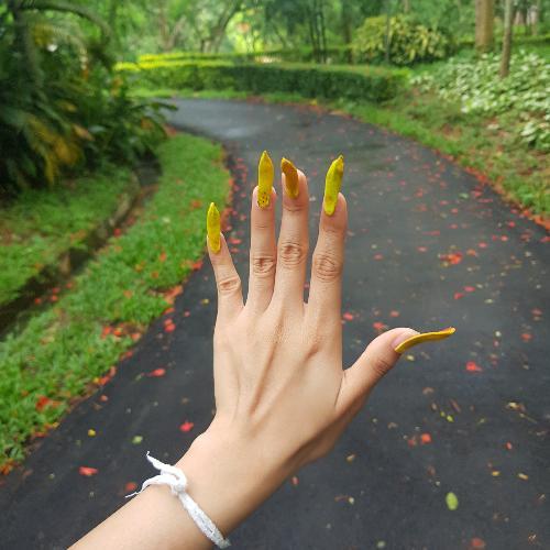 สมาชิกหมายเลข 4721200