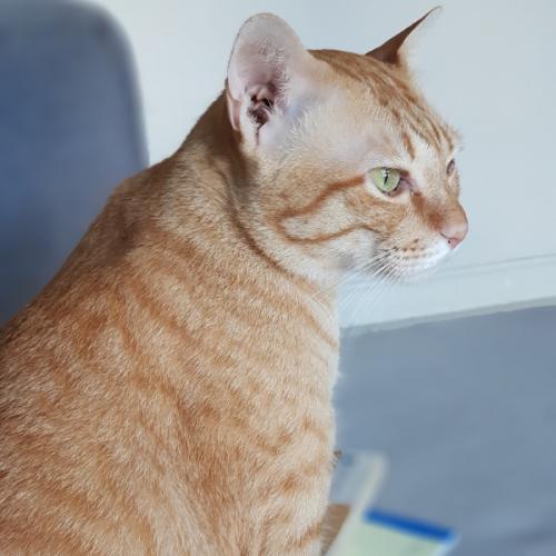 ฤดูแห่งความสุข