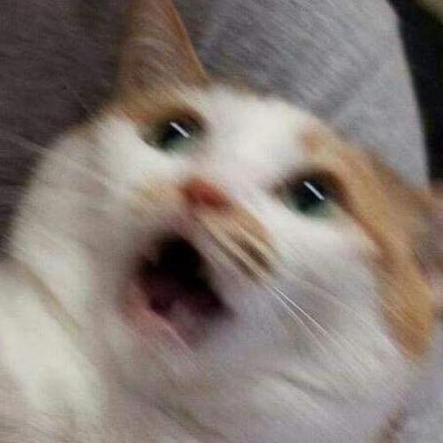 สมาชิกหมายเลข 5092803