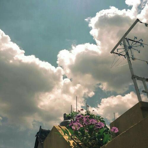 สมาชิกหมายเลข 5484554