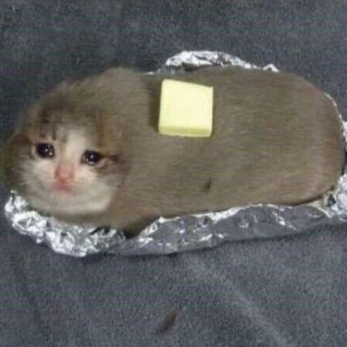 สมาชิกหมายเลข 6018514