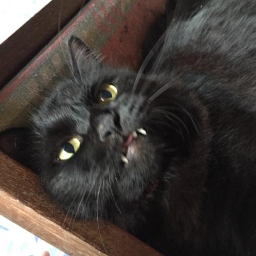 สมาชิกหมายเลข 6633366