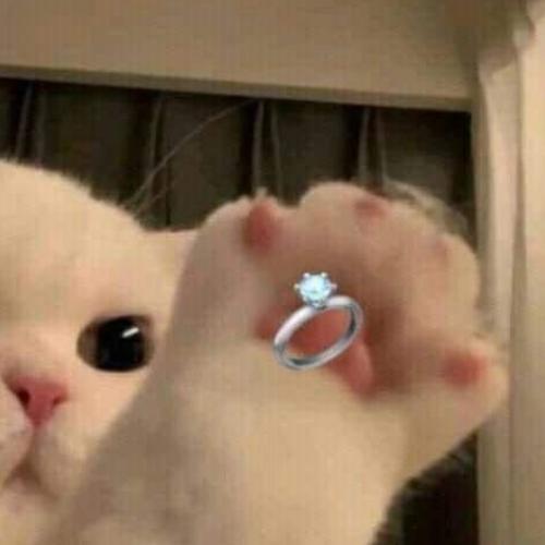 สมาชิกหมายเลข 7376171