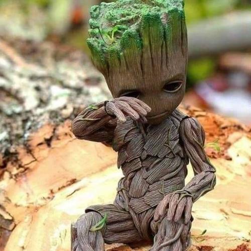 สมาชิกหมายเลข 2028213