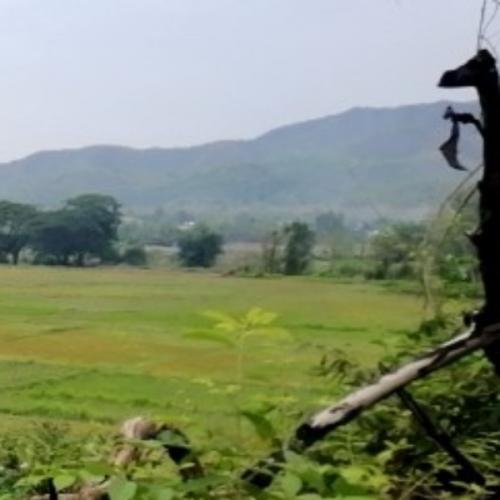 สมาชิกหมายเลข 6019127