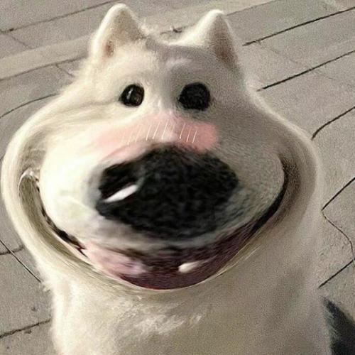 สมาชิกหมายเลข 7350775