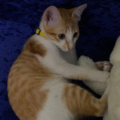 สมาชิกหมายเลข 7763126