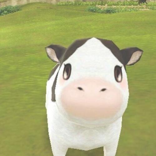 สมาชิกหมายเลข 8237968