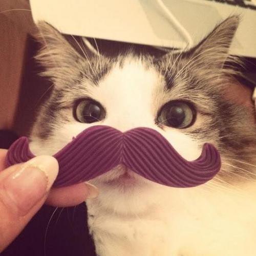 สมาชิกหมายเลข 1709253