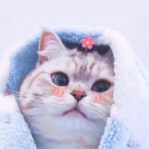 สมาชิกหมายเลข 2417306