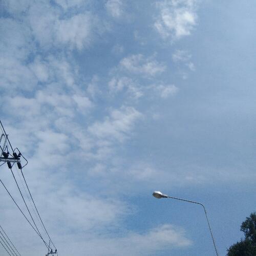 สมาชิกหมายเลข 4251813