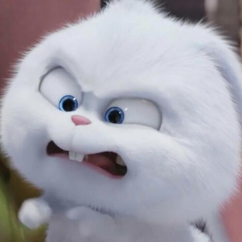 สมาชิกหมายเลข 2976570