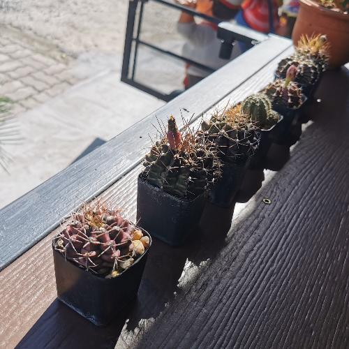 สมาชิกหมายเลข 5676876