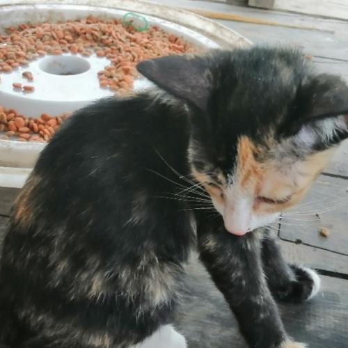 สมาชิกหมายเลข 5966683