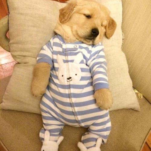 สมาชิกหมายเลข 6019560