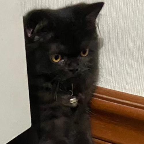 สมาชิกหมายเลข 7376547