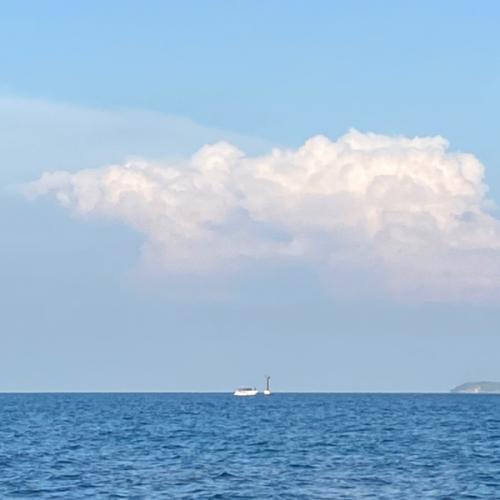 สมาชิกหมายเลข 8260572