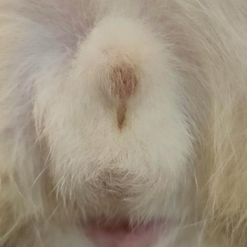 ขออนุญาตสอบถามครับ